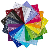 Unisex Paisley Printed Bandanas Headband & Scarfs -Assorted