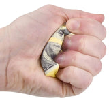 Squeeze Playful Kids Toy In Bulk