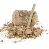 Dinosaur Fossil Egg In Bulk