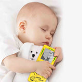 Brain Game For Kids & Adults In Bulk - Assorted