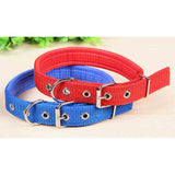 Wholesale Solid Color Pet Collar 25-inch - Assorted