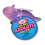 Pull Back Axolotl Kids Toy In Bulk - Assorted