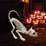 1707BA Good Halloween Skeleton Cat Realistic Looking Eye-catching Halloween Decoration Crouching Cat Skeleton Creepy Animal Bones