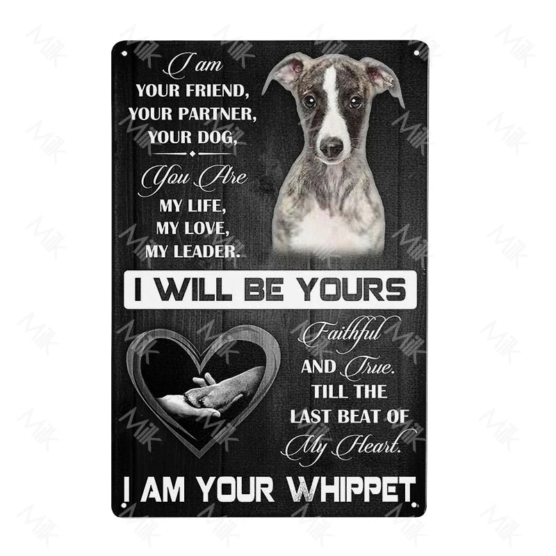 41108506083410|41108506607698