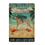 41108506345554|41108506706002