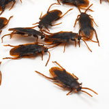 2407TA 5-50Pcs Halloween gadget Plastic Cockroaches Joke Decoration Props Rubber Toy Gags Practical Jokes Toys Plastic Bugs Cockroach