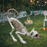 1707BA Good Halloween Skeleton Cat Realistic Looking Eye-catching Halloween Decoration Crouching Cat Skeleton Creepy Animal Bones