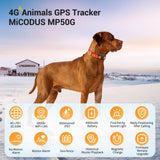0407GP MiCODUS 4G Dog GPS Tracker Hunting Dogs Collar MP50G 4000mAh Waterproof IPX7 Realtime Track Route Playback Speaker Web & APP