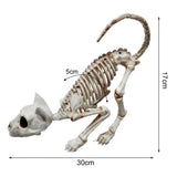 1707BA Good Halloween Skeleton Cat Realistic Looking Eye-catching Halloween Decoration Crouching Cat Skeleton Creepy Animal Bones