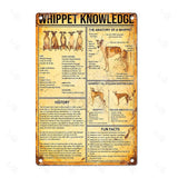 41108506443858|41108507066450