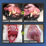 Tooth cleaning spray for dogs and cats.