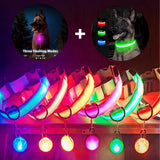 Electronic Pet LED Dog Collar - Adjustable, Flashing, Rechargeable, Reflective, and Anti-Lost