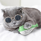 Hot Selling Pet Interactive Toothbrush Chewing Stick Cat Toy - Promote Healthy Teeth and Encourage Playtime