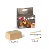 Sea Fossil Dig Educational Kit