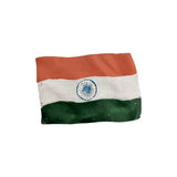 Indian Culture Fridge Magnets - Assorted