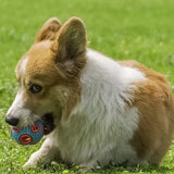 Dog Food Leaking Ball Toy
