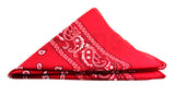 Wholesale Paisley Prints Cotton Bandannas For Unisex- Assorted