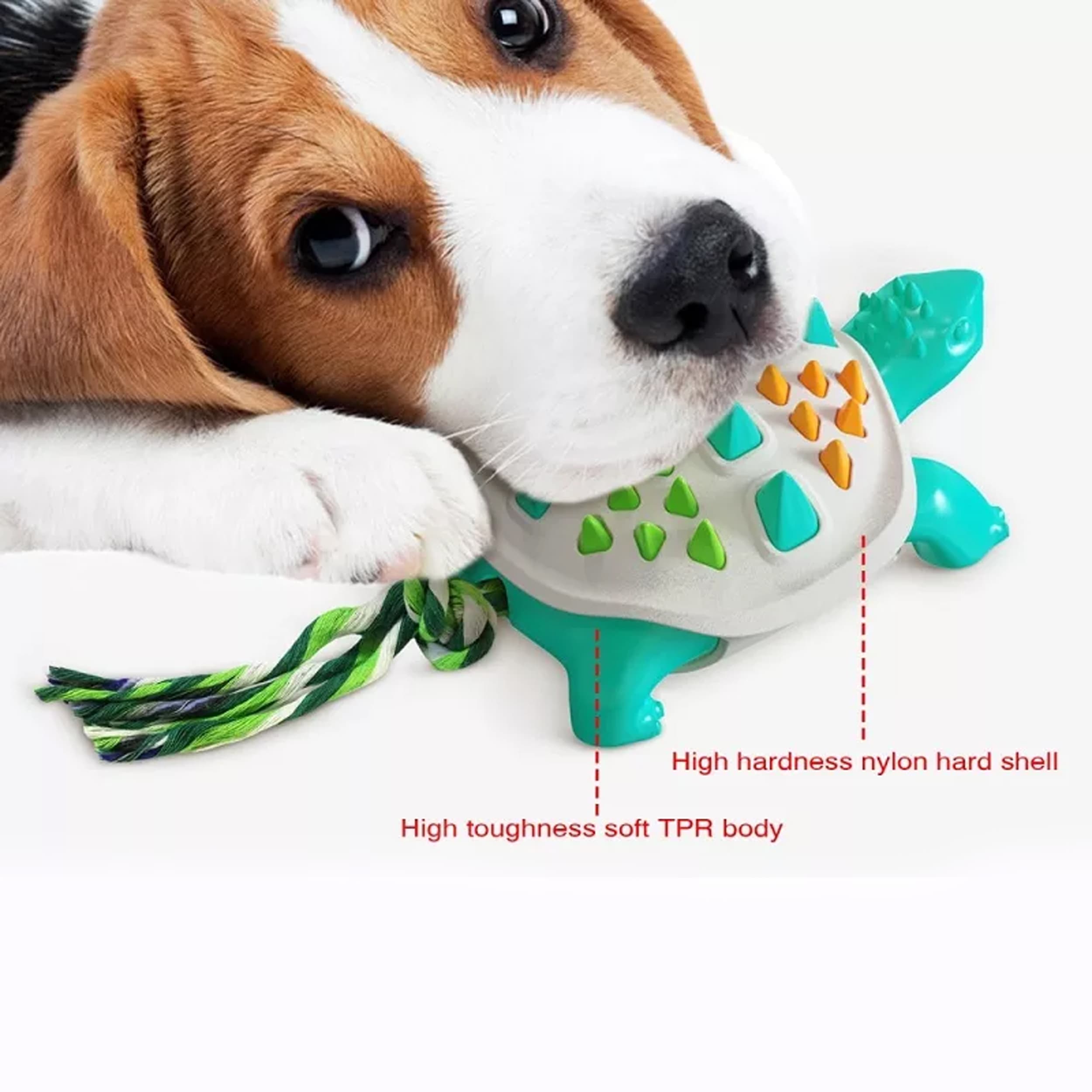 Tortoise Teeth Cleaning Dog Chew Toy