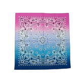 Combine Colors Paisley Bandannas