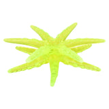 Starfish Wall Tumbler kids Toys In Bulk- Assorted