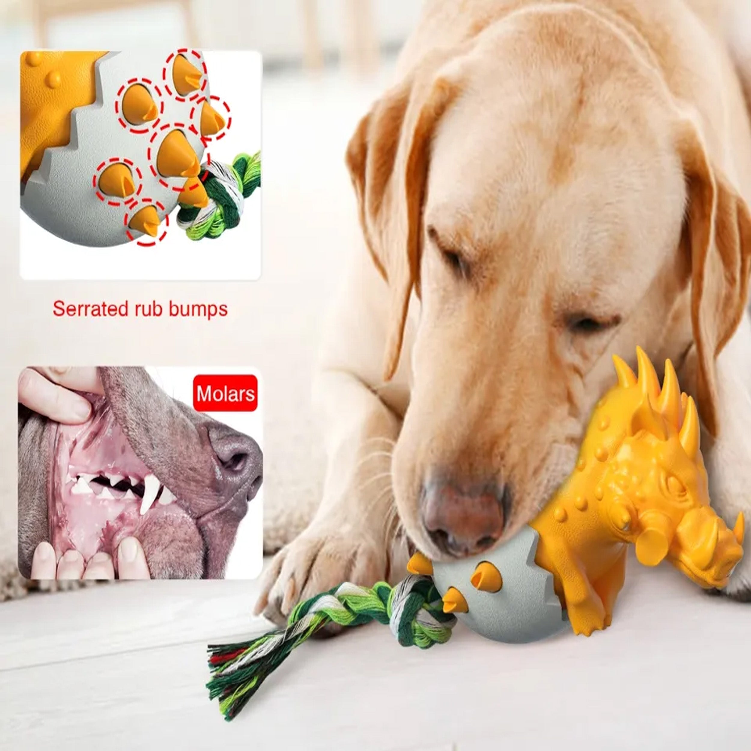 New Dog Chew Dinosaur Style Durable Molar Teeth Cleaning Toy
