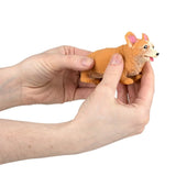 Corgi Animal Stretchy & Squishy Toys For Kids In Bulk