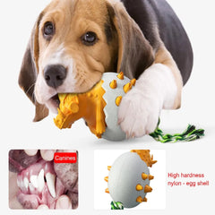 New Dog Chew Dinosaur Style Durable Molar Teeth Cleaning Toy