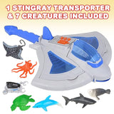 13" Sting Ray Transporter For Kids