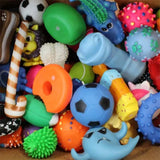 Dog Squeaker Toy Assorted Styles Countertop Display Hours of Fun for Your Furry Friend (MOQ-5)