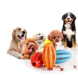 2307GP Pet Dog Chew Toys Teeth Cleaning Snack Ball Pet Dog Toy Ball Natural Rubber Super Tough Interactive Bouncy Pet Supplies