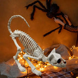 1707BA Good Halloween Skeleton Cat  Realistic Looking Eye-catching Halloween Decoration  Crouching Cat Skeleton Creepy Animal Bones