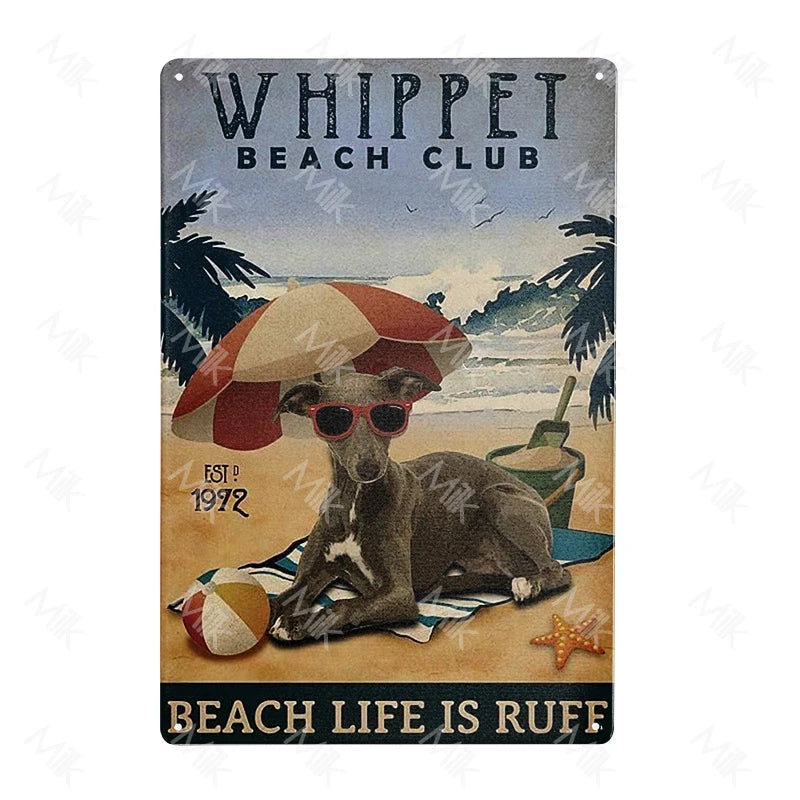 41108506673234|41108506771538