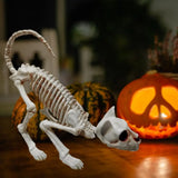 1707BA Good Halloween Skeleton Cat  Realistic Looking Eye-catching Halloween Decoration  Crouching Cat Skeleton Creepy Animal Bones