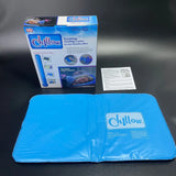 Chillow Sleeping Aid Pad Neck PVC Pillow Summer Ice Cold Pillow Massager Therapy Insert Mat Muscle Relief Cooling Gel Pillow