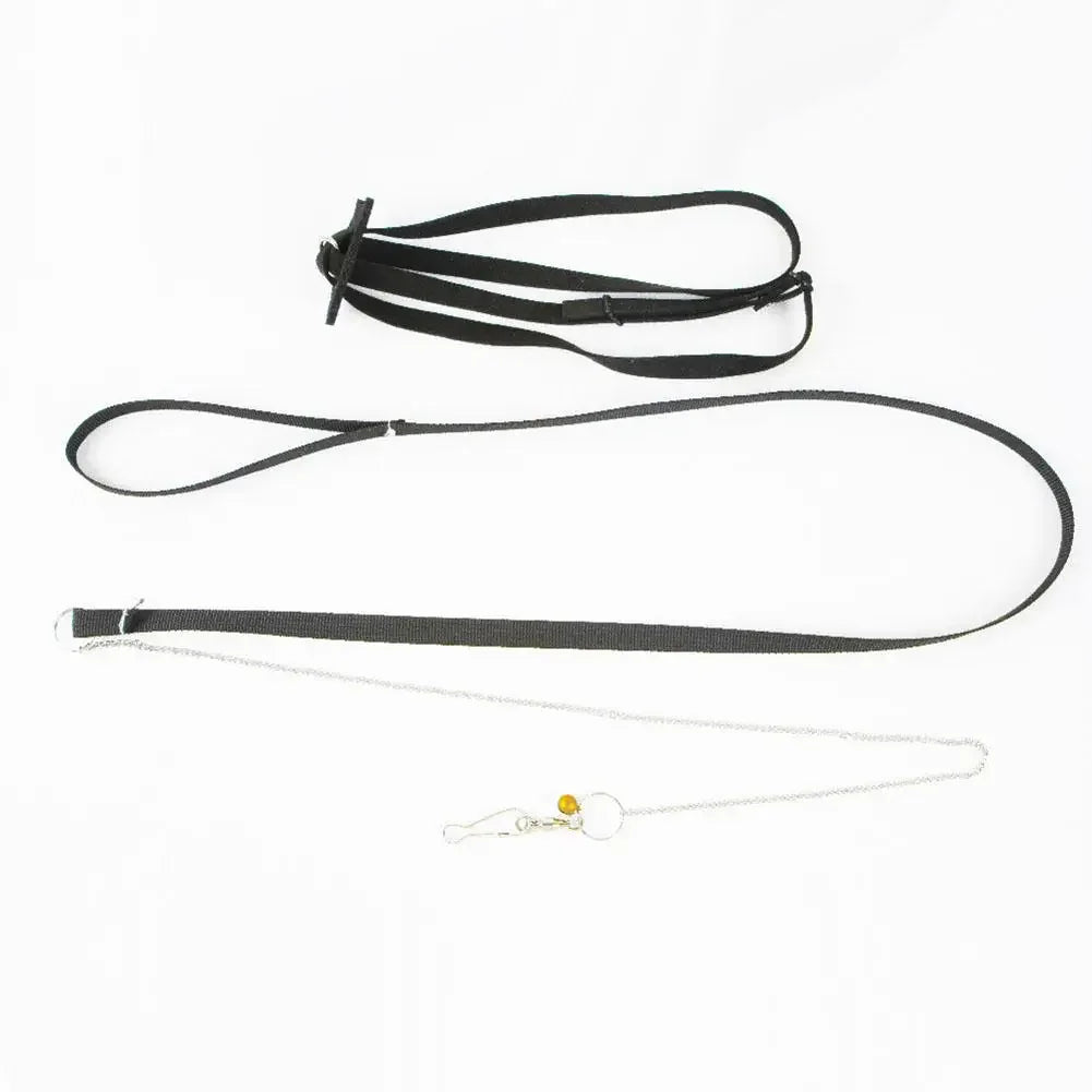 41125300371538|41125300469842