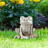 0709BA Frog Sculpture Halloween Gift Resin Animal Statue Desktop Ornament Frog Skeleton Decoration for Office Indoor Desk Patio Party