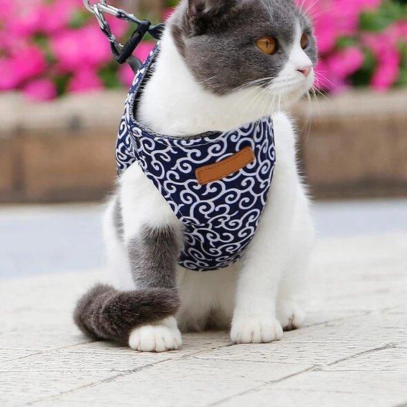 pet