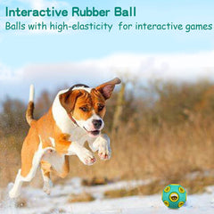 Bounce & Fetch Rubber Ball