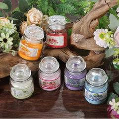 Aromatherapy Scent Candles Luxury Soy Wax Beach Scented Candles with Glass Candle Jars