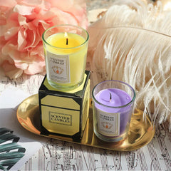 Luxury Soy Wax Scented Candles for Home Décor - Aromatherapy Candle Set