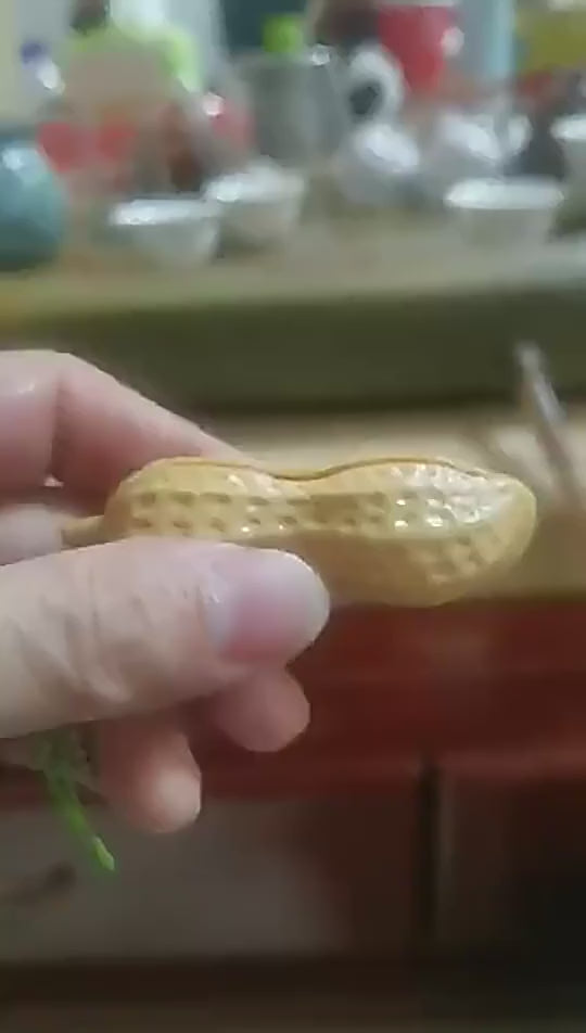 Video demonstration of Peanut Pop out Fidget Keyring