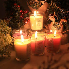 Luxury Soy Wax Scented Candles for Home Décor - Aromatherapy Candle Set