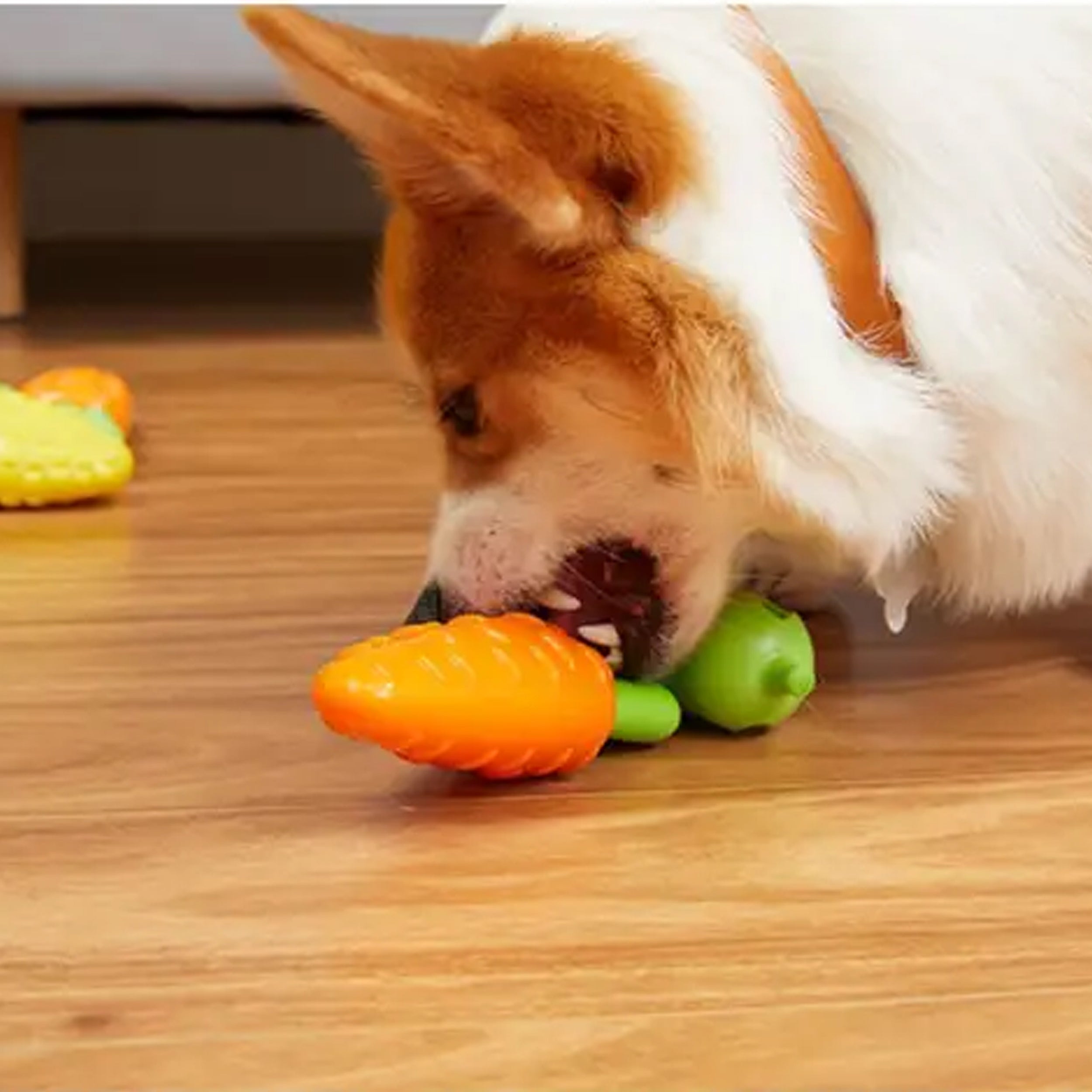 Keep Your Dog Happy and Healthy with Vegetable Shape Sound Dog Toy Chew