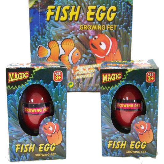 Wholesale Hatch EM Growing Clown Fish Eggs (Sold By Dozen)