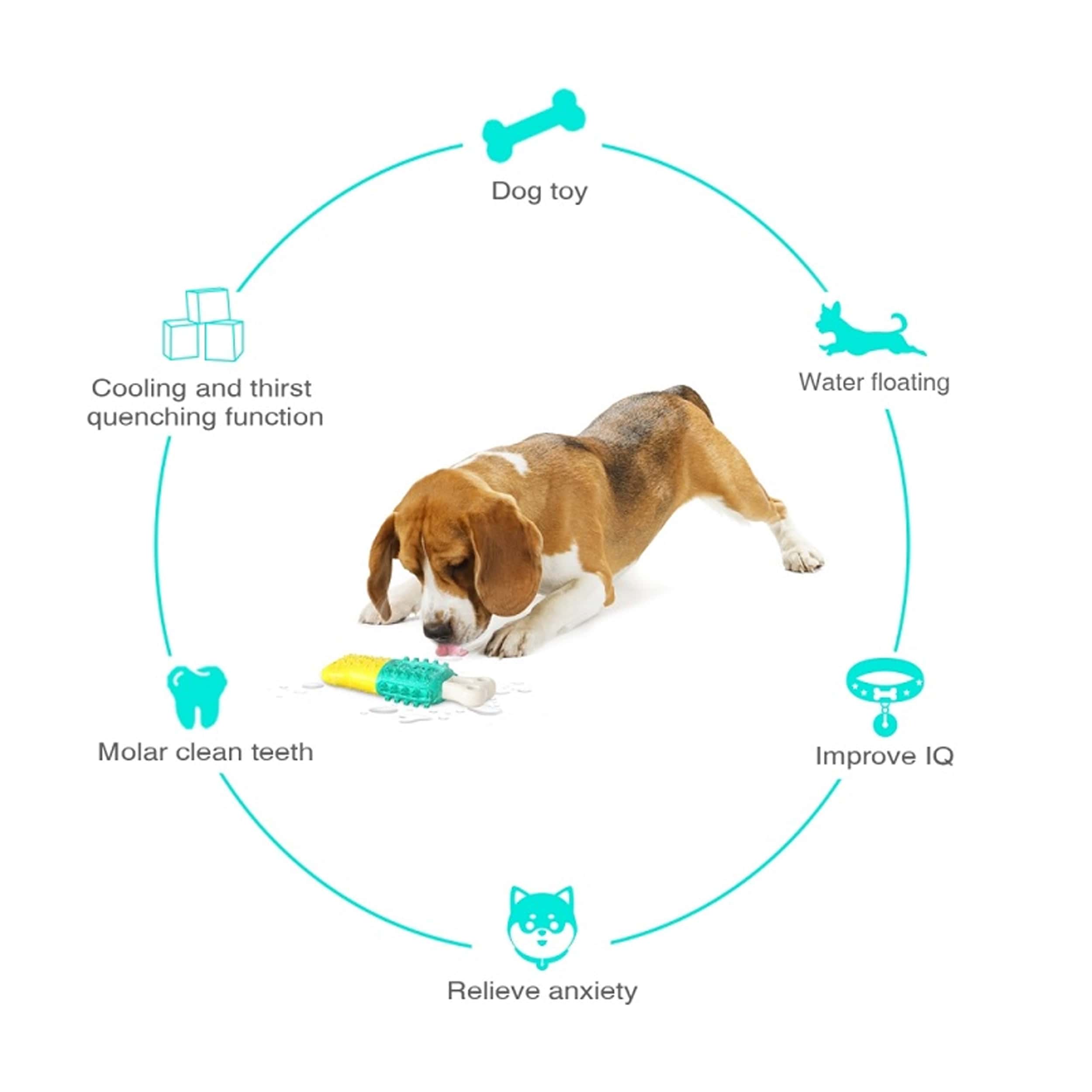 Features Of  Puppy Teeth Cleaning Chew Toy