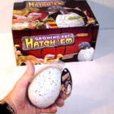 Wholesale Growing Jumbo Dinosaur Eggs (Sold by the dozen)