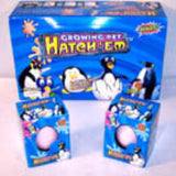 Hatching & Growing Magic Penguin Eggs For Kids In Bulk