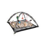 Zebra Print Cat Play Tent with Dangle Toys