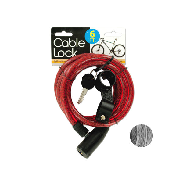 Self Coiling Bicycle Cable Lock with Two Keys