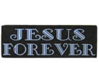 Wholesale JESUS FOREVER HAT / JACKET PIN (Sold by the dozen)